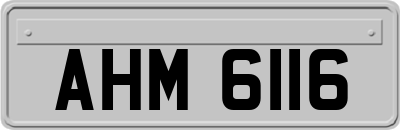 AHM6116