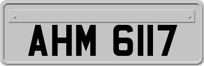 AHM6117