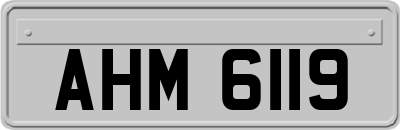 AHM6119