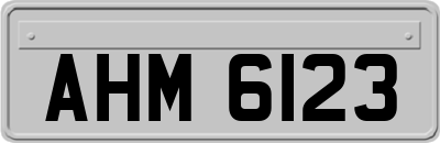 AHM6123
