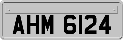 AHM6124