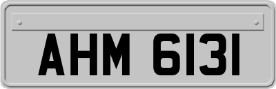 AHM6131
