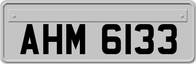 AHM6133