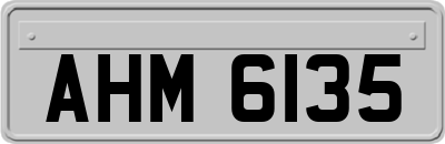 AHM6135