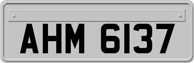 AHM6137