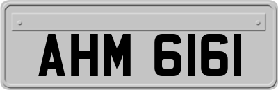 AHM6161