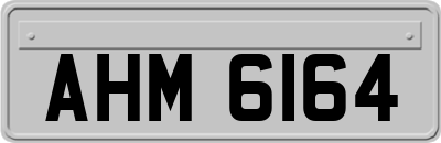 AHM6164