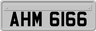 AHM6166