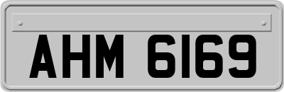 AHM6169