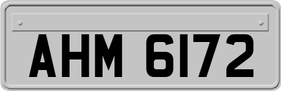 AHM6172
