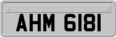 AHM6181