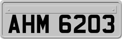 AHM6203
