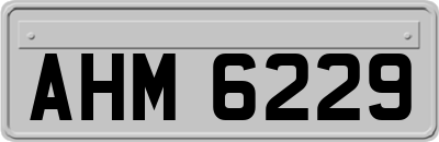 AHM6229