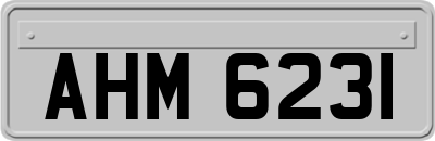 AHM6231