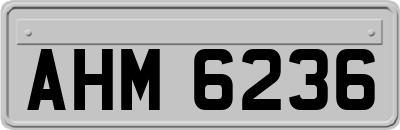 AHM6236