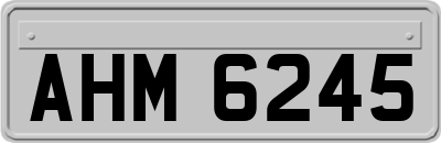 AHM6245