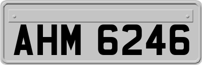 AHM6246