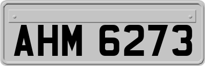AHM6273