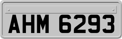 AHM6293
