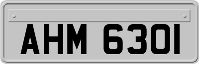 AHM6301