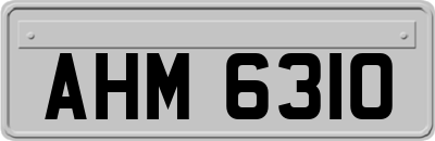 AHM6310
