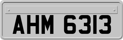 AHM6313