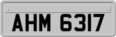 AHM6317
