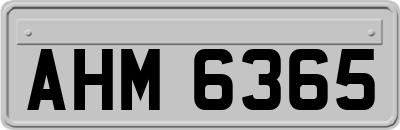 AHM6365