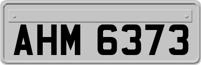 AHM6373