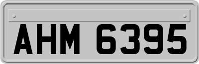 AHM6395
