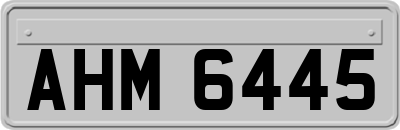 AHM6445