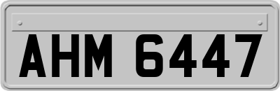 AHM6447