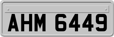 AHM6449