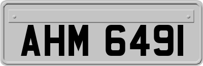 AHM6491