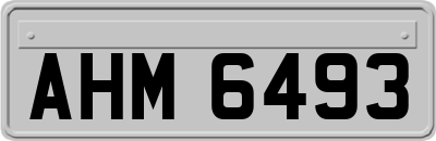 AHM6493