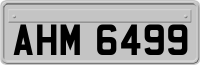 AHM6499