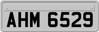 AHM6529