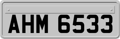 AHM6533