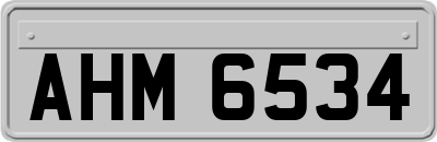 AHM6534