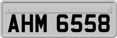 AHM6558