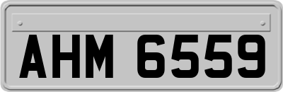 AHM6559