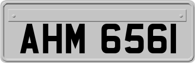 AHM6561