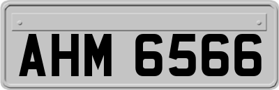 AHM6566