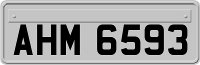 AHM6593