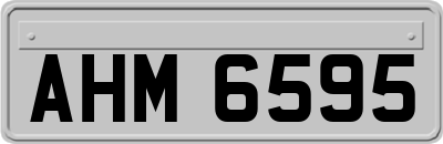 AHM6595