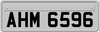 AHM6596