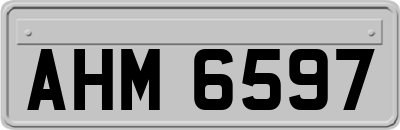 AHM6597