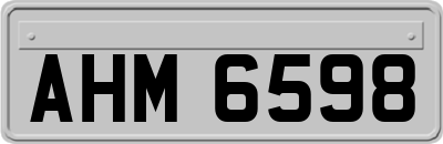 AHM6598