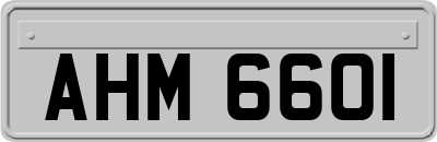 AHM6601