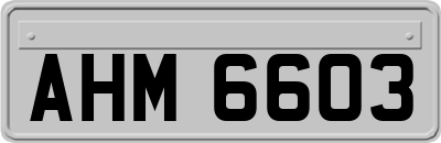 AHM6603